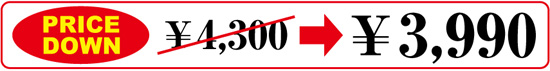 pricedown3990