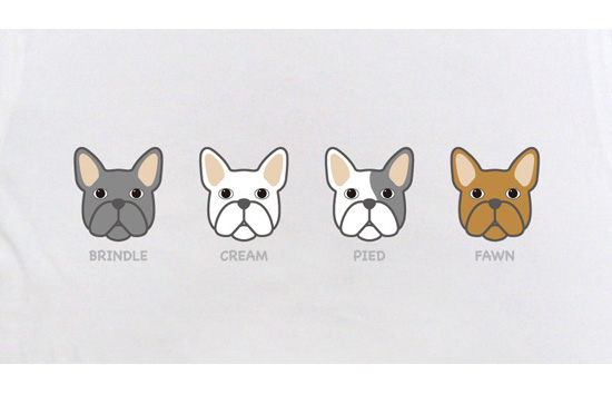 ペチャ犬Tシャツ「フレンチブルドッグ3」ホワイト2